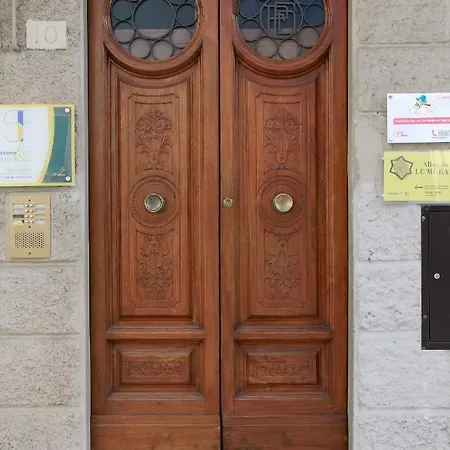 The Nest Grosseto