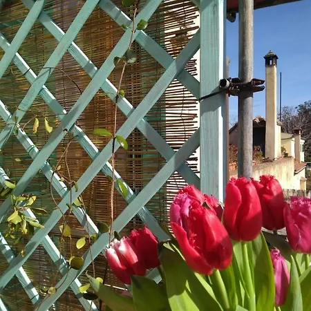 The Nest アパート グロッセート